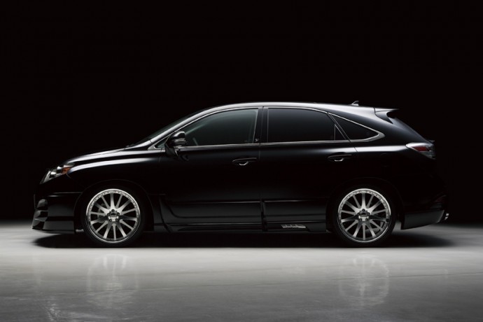 Накладки на двери "Wald Black Bison" для Lexus RX 350, RX 450 (AL10, 2009-2012) купить недорого с доставкой в Убинское